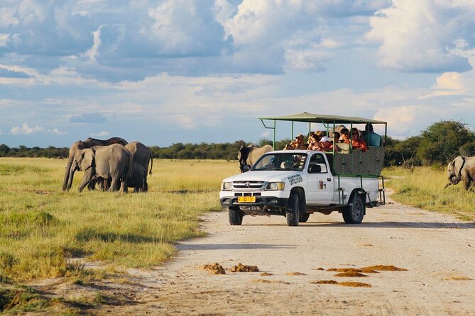 Safari in Etosha national park with professional tour guides born in Etosha. - Who this safari is for, and who should look elsewhere