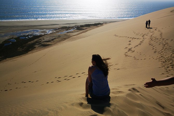 Sandwhich Harbour Dune 4x4 Half day - Sandwich Harbour 4x4: what makes this half-day so fun