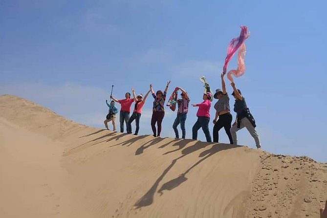 Sandwhich Harbour Dune 4x4 Half day - The dune drive experience: where the thrill happens