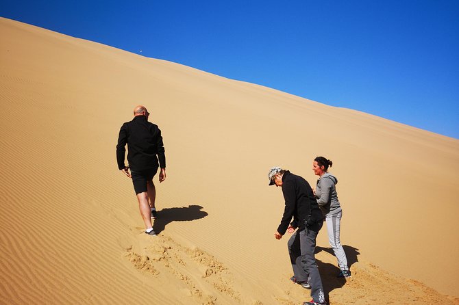 Sandwhich Harbour Dune 4x4 Half day - Small group limits and why they matter on the dunes