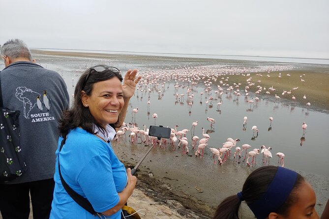 Sandwich Harbour 4X4 Excursion Tour Food and Drinks - Pink lakes and flamingos, how to see the best without chasing