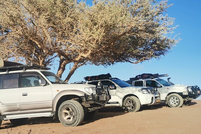 Sandwich Harbour 4X4 Excursion Tour Food and Drinks - Namib-Naukluft Park stops: dune scenery and photo points