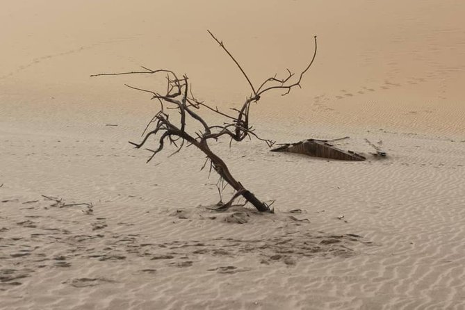 Sandwich Harbour 4x4 guided tours.Join us for an awe inspiring adventure. - Safety and comfort: what to consider before you go