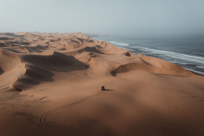 Sandwich Harbour 4x4 Half Day Experience with Beach Braai - Key Highlights You Should Care About