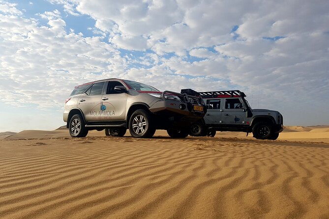 Sandwich Harbour 4x4 Half Day Experience with Beach Braai - AM vs PM Timing: How Your Route Changes