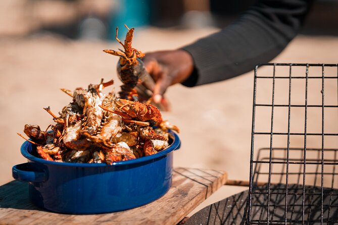 Sandwich Harbour 4x4 Half Day Experience with Beach Braai - What to Bring and How to Enjoy the Dunes