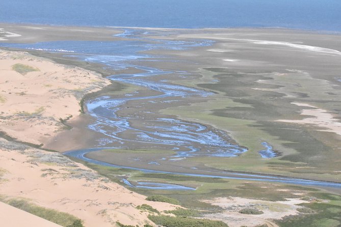Sandwich Harbour Adventure: Seals and Sandwich harbour dune drive - Guide Quality: The Difference Between a Ride and a Real Day Out