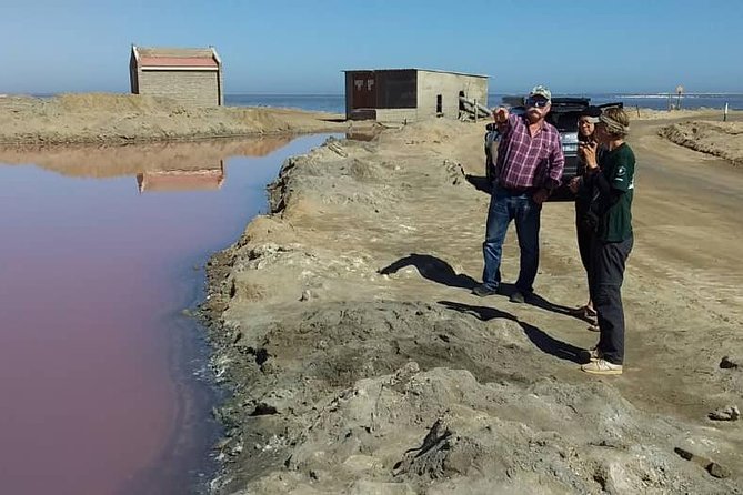 Sandwich Harbour Adventure: Seals and Sandwich harbour dune drive - The Flamingo and Wetland Start: Walvis Bay Lagune Stops That Set the Tone
