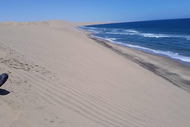 Sandwich harbour and Welwitschia Tour - Price and what you really get for $218.54