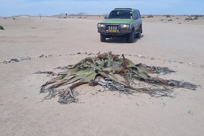 Sandwich harbour and Welwitschia Tour - Swakopmund gravel plains, lichen fields, and the Moon Landscape