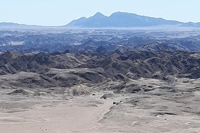 Sandwich harbour and Welwitschia Tour - Goanikontes water oasis, where coastal needs start