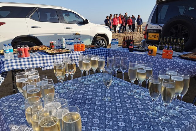 Sandwich Harbour Full Day Excursion - Walvis Bay Lagoon: Flamingos, Bird Energy, and That Quiet Science