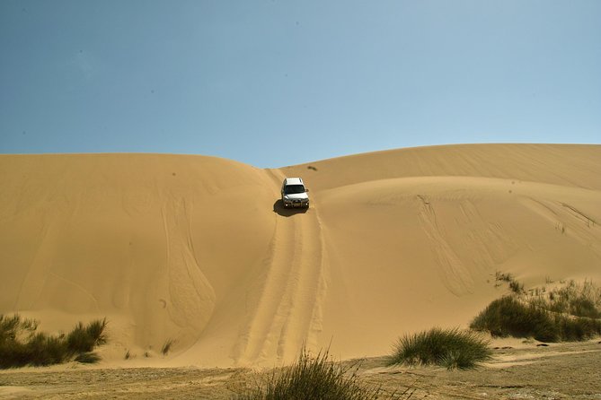 Sandwich Harbour Guided, Self-Drive Tour - Your 4x4 day from Walvis Bay, and what to expect in 4 hours