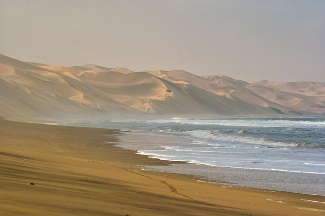 Sandwich Harbour Half-Day 4x4 Tour (5 hours) from Walvis Bay - The Main Event: Sandwich Harbour Dunes, Sea Views, and Wildlife Moments