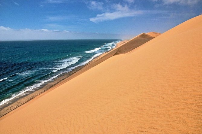 Sandwich Harbour Half Day Excursion - Key highlights to know before you go