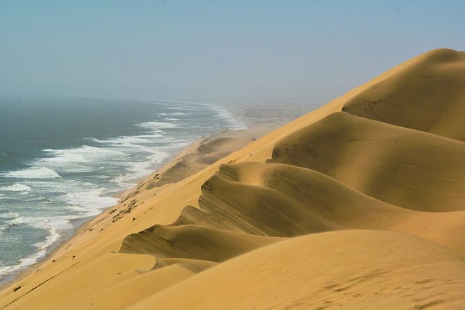Sandwich Harbour & Pelican Point Full Day Tour - Walvis Bay coast, birds, and dunes in one tight 7-hour block