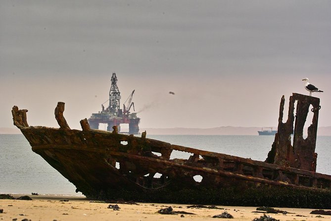 Sandwich Harbour & Pelican Point Full Day Tour - Dorob National Park stop: a quick hit of Namibia terrain
