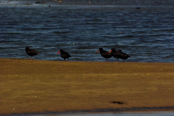 Sandwich Harbour & Pelican Point Full Day Tour - Namib-Naukluft Park: entering Africa’s largest park