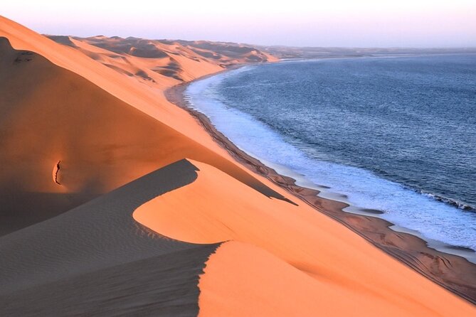 Sandwich Harbour Scenic Excursion - Design for the Cruise Ships - Lunch in the desert: what you actually get, and why it feels worth it