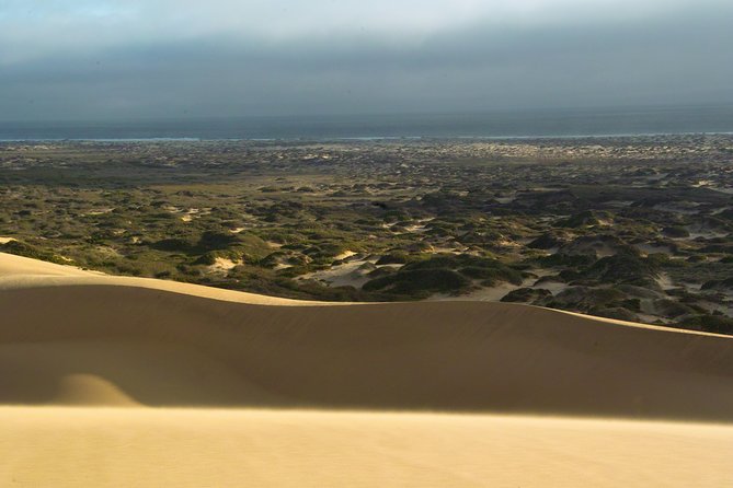 Sandwich Harbour Sunset Photography Tour - Namib Desert time, where the dunes and desert scenes happen