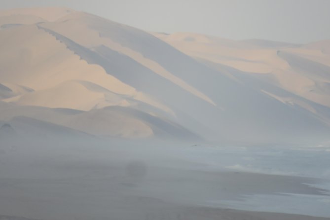 Sandwich Harbour Tour - Pelgrim Tours - Why Sandwich Harbour Feels Different From Other Desert Stops