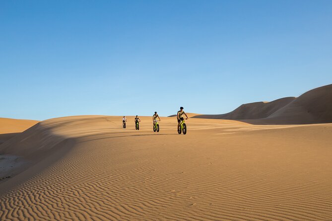 Scenic Desert Tour by Bike - Fat bikes in the Namib Desert: why this format works