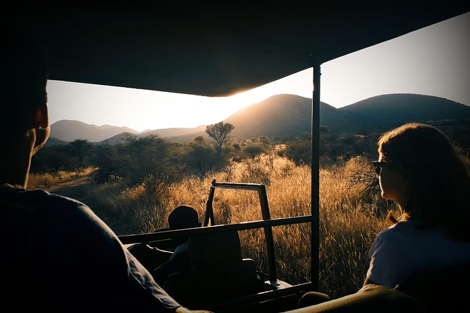 Scenic Game Drive Activity - Key highlights I’d circle on your itinerary