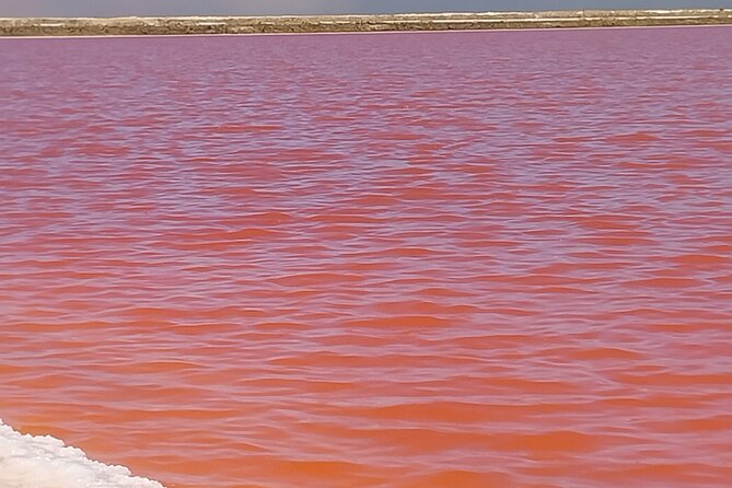 Scenic Sandwich Harbor Half Day tour - Walvis Bay Flamingos and salt lakes, the calm warm up