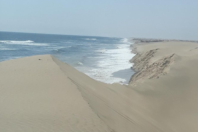 Scenic Sandwich Harbour Tour - Getting From Swakopmund With Pickup and a Mobile Ticket