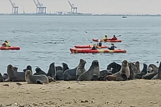 Seal Kayaking at Pelican Point from Swakopmund - From Swakopmund to the water: getting there is part of the value