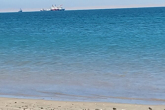 Seal Kayaking at Pelican Point from Swakopmund - Price and value: why $83.08 feels fair for this setup