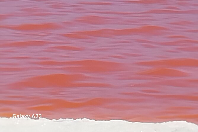Seal Kayaking at Pelican Point from Swakopmund - Weather, sandstorms, and what happens if kayaking is paused