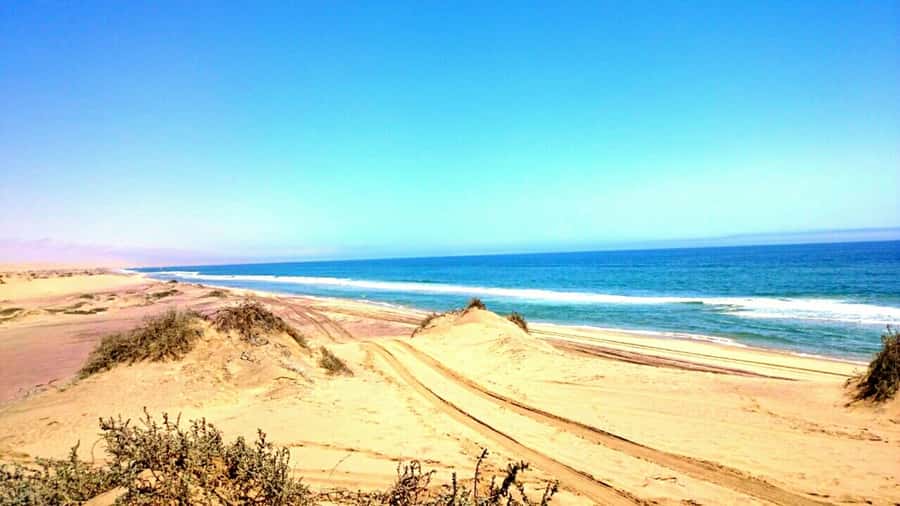 Self-Drive Guided Tour to Sandwich Harbour - Quick hits you should care about