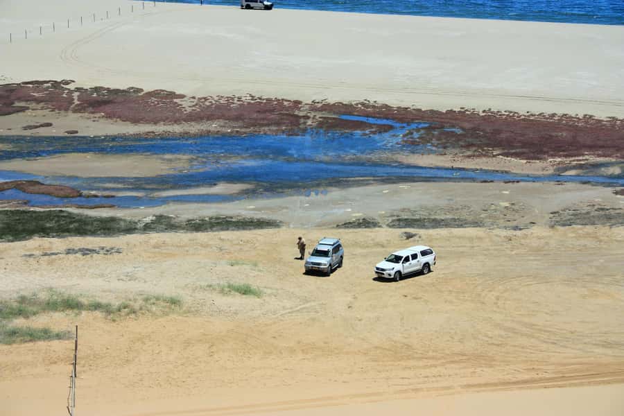 Self-Drive Guided Tour to Sandwich Harbour - Kuiseb River delta: where wildlife spotting actually fits the day