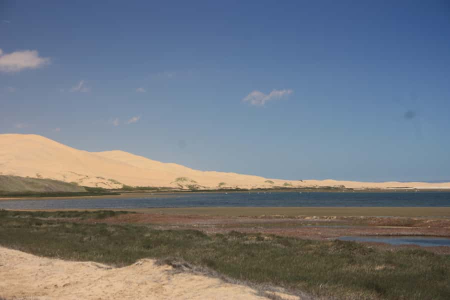 Self-Drive Guided Tour to Sandwich Harbour - What to bring (and what to skip) for a smooth Namib day