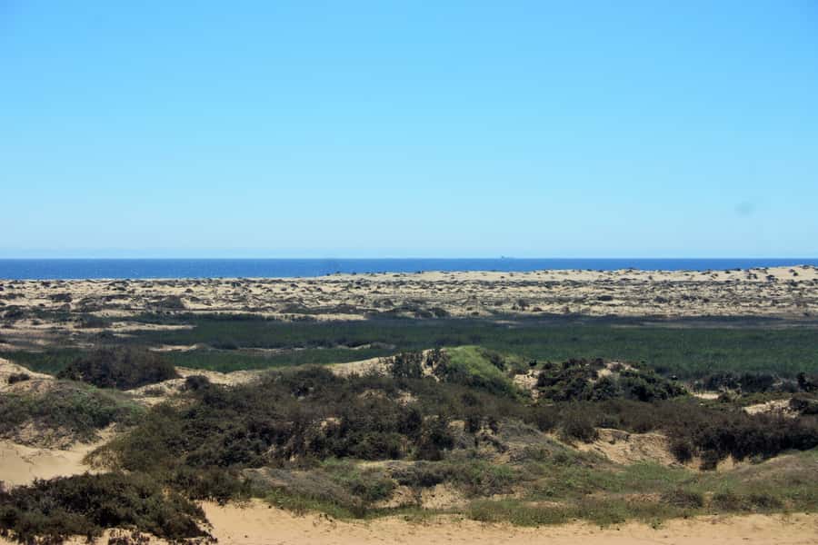 Self-Drive Guided Tour to Sandwich Harbour - A quick reality check before you book