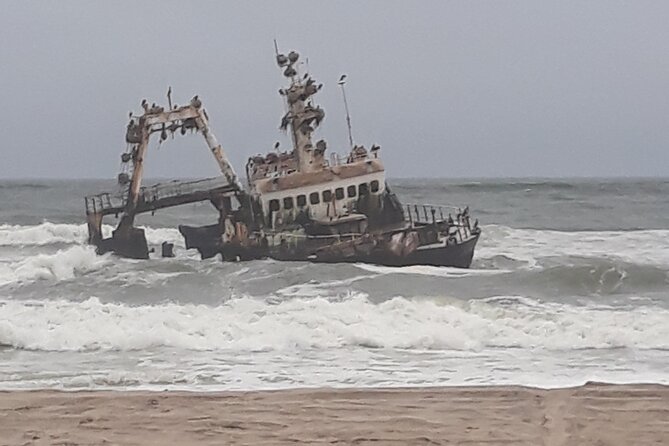 Skeleton Coast Cape Cross Seal colony Tour - Fog survival and the lichen field lesson