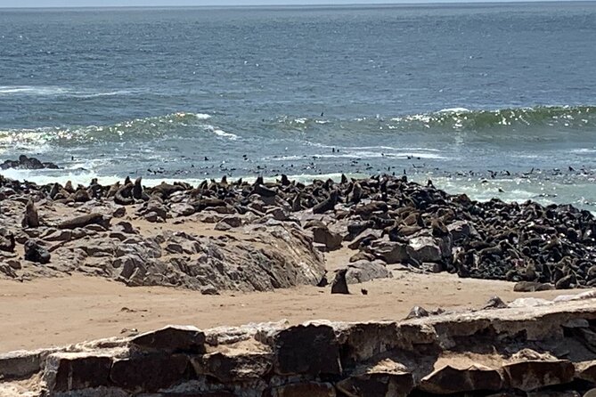 Skeleton Coast Cape Cross Seal colony Tour - Diego Cão and the cross: a historical thread you can feel
