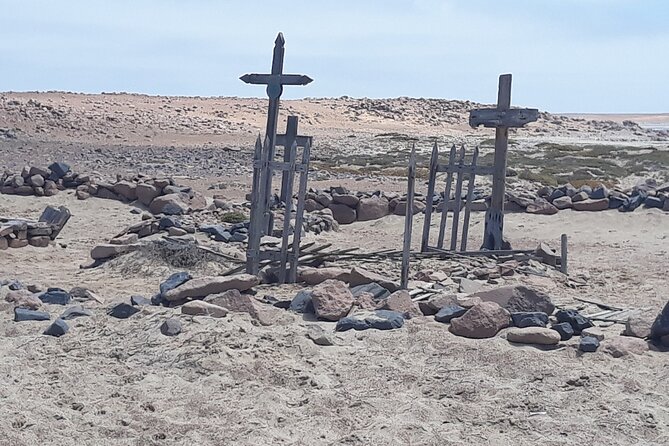 Skeleton Coast Cape Cross Seal colony Tour - The 7:30 am reality check: timing, driving, and comfort