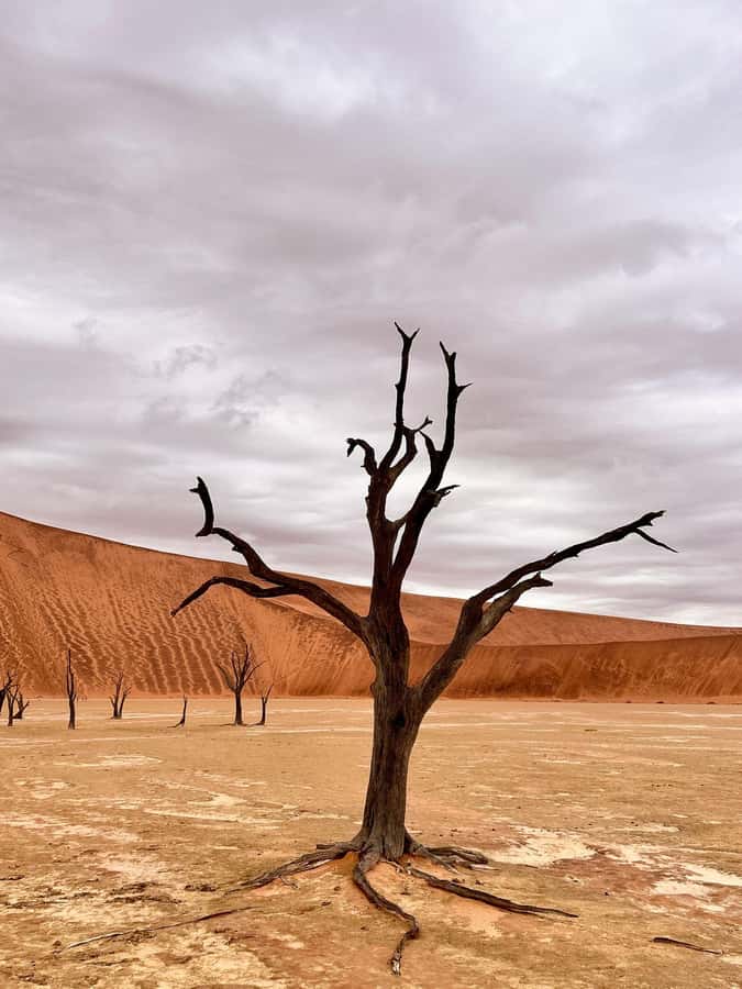 Sossusvlei: Day Trip - Key things to know before you go