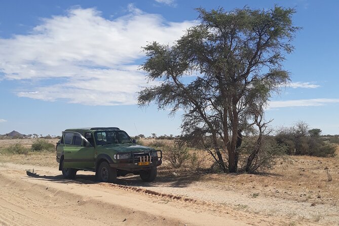 Spitzkoppe Day Tour from Swakopmund - Guides, Language, and Group Size Limits