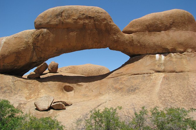 Spitzkoppe - Day Tour to the Spitzkoppe Mountain from Swakopmund - Desert Flora and Bird Spotting: Learning Plants Without Feeling Like a Textbook