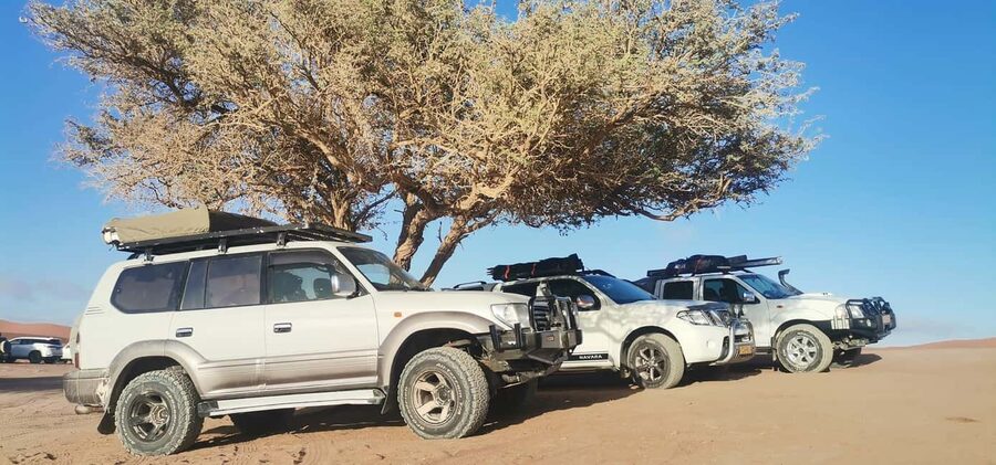 swakopmund city tour dune 7 pink lake pink flamingos - Key things to know before you go