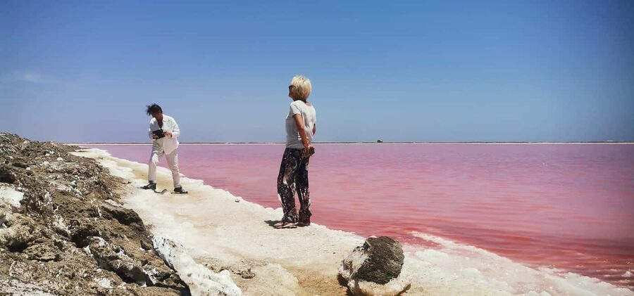 swakopmund city tour dune 7 pink lake pink flamingos - Pink lakes and flamingos: the unusual finale
