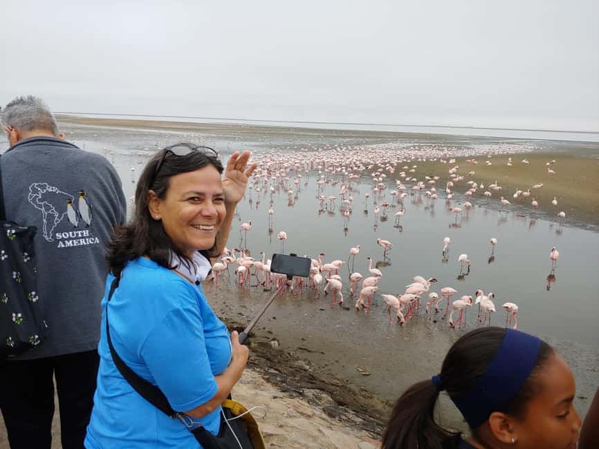 swakopmund city tour dune 7 pink lake pink flamingos - Who should book this tour, and who should choose differently