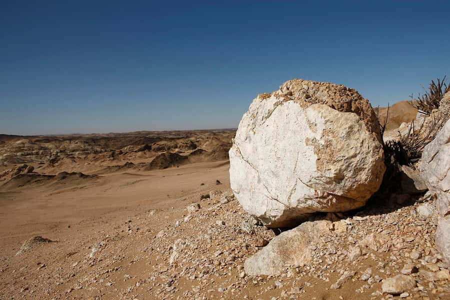 Swakopmund: Moon Valley and Namib Desert Welwitschia Tour - Why Moon Valley feels like Namib time travel