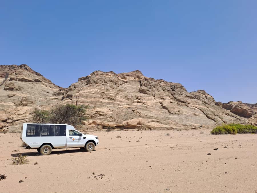 Swakopmund: Moon Valley and Namib Desert Welwitschia Tour - Welwitschia mirabilis: the plant lesson you will remember