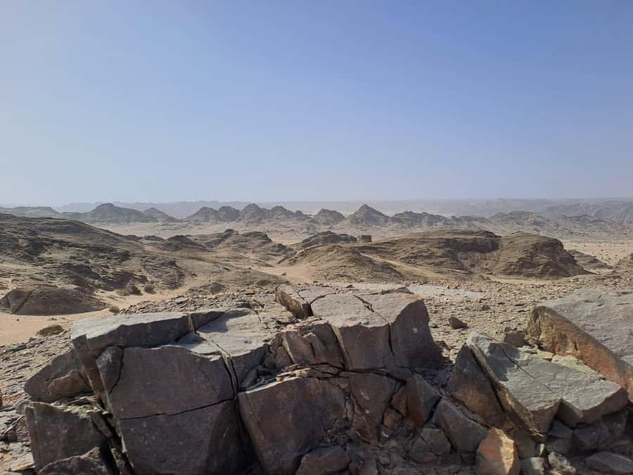 Swakopmund: Moon Valley and Namib Desert Welwitschia Tour - Comfort, walking level, and who should pass