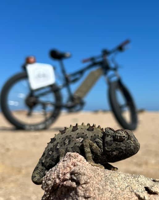 Swakopmund: "UP CLOSE" Living Desert E-FatBike Tour - Key things to know before you go