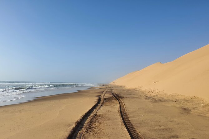 Tour to Sandwich harbour - Namib-Naukluft Park: dunes running into the Atlantic